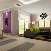 salon zaprojektowany przez dekoratora wnętrz